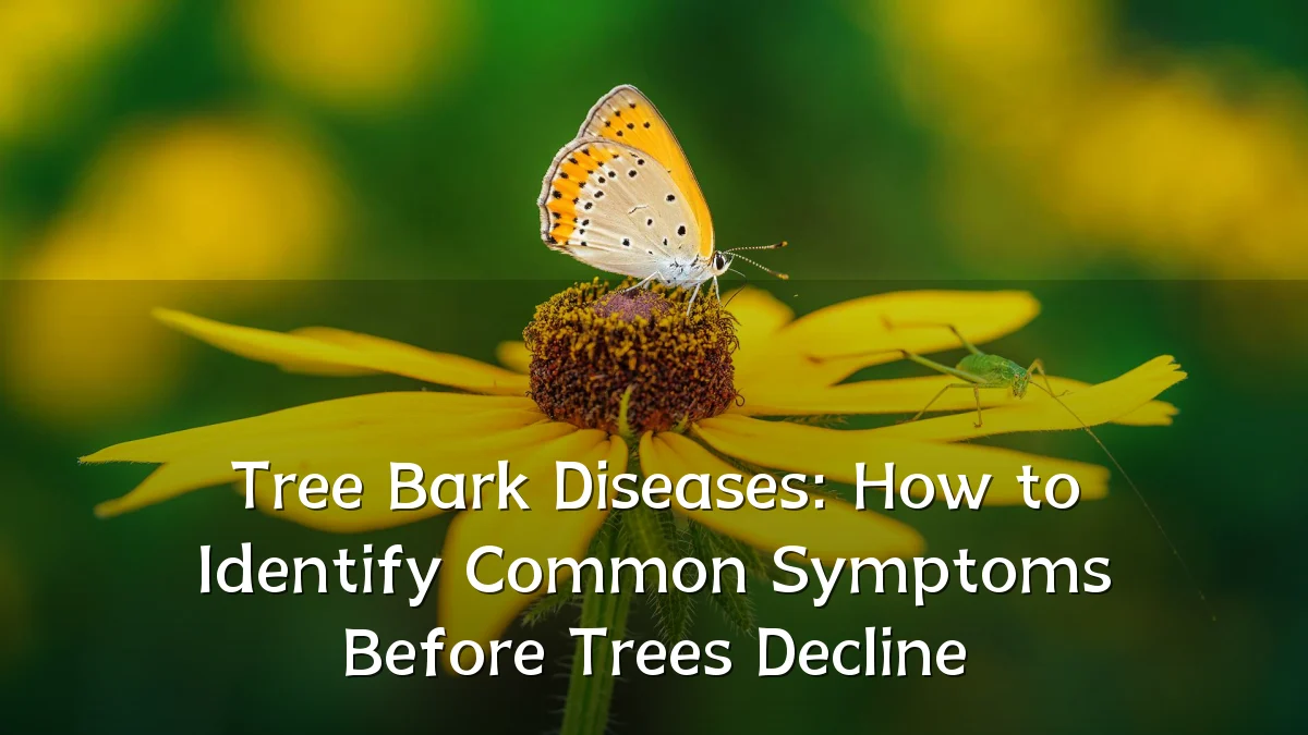 Tree Bark Diseases: How to Identify Common Symptoms Before Trees Decline