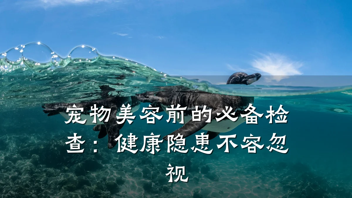 宠物美容前的必备检查:健康隐患不容忽视