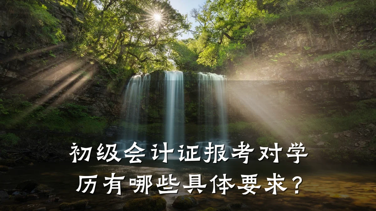 初级会计证报考对学历有哪些具体要求?