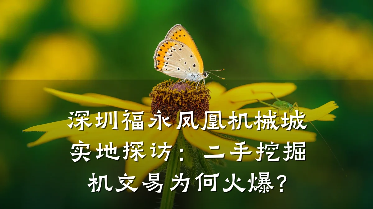 深圳福永凤凰机械城实地探访:二手挖掘机交易为何火爆?