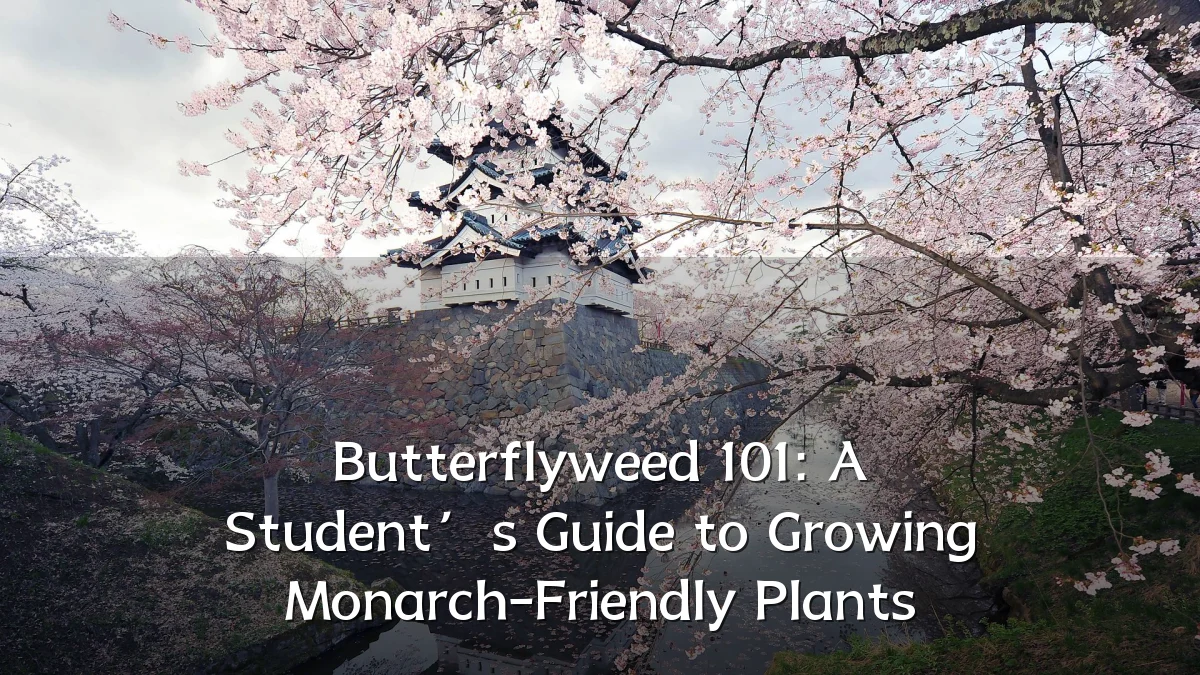 Butterflyweed 101: A Student’s Guide to Growing Monarch-Friendly Plants