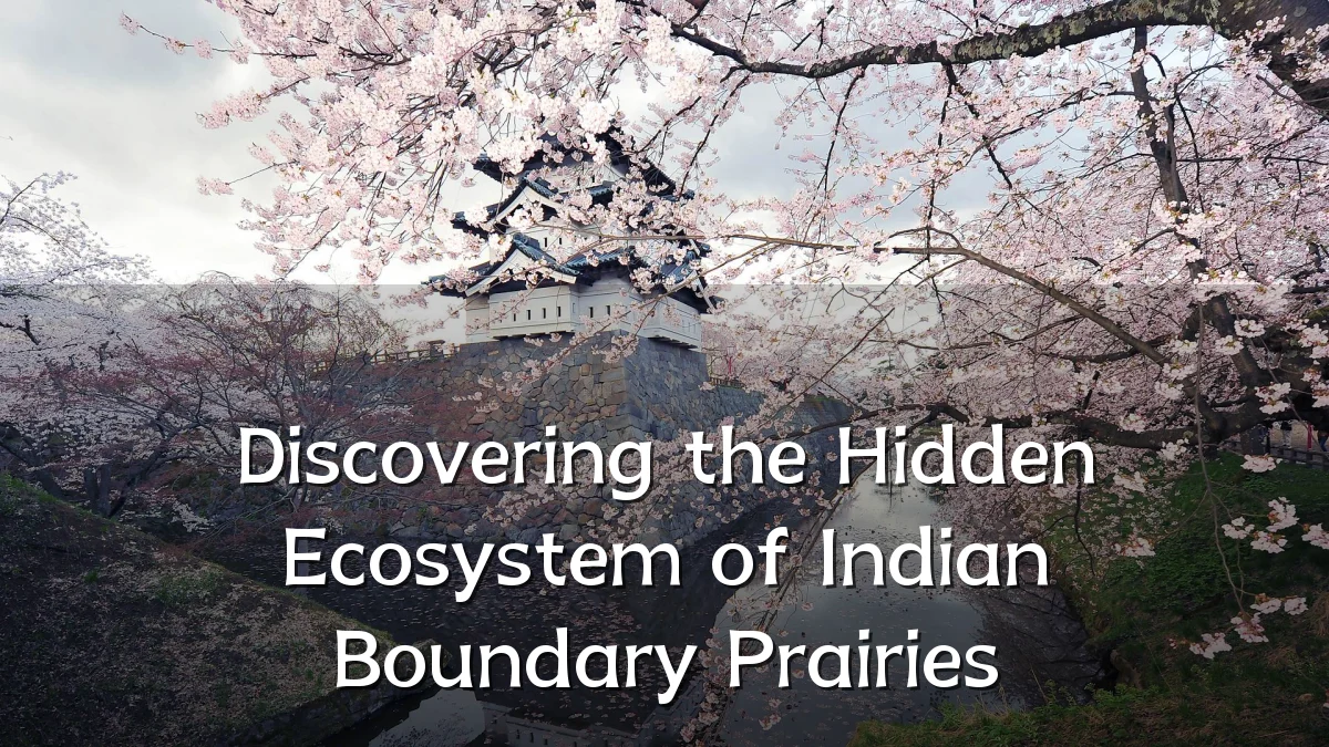 Discovering the Hidden Ecosystem of Indian Boundary Prairies