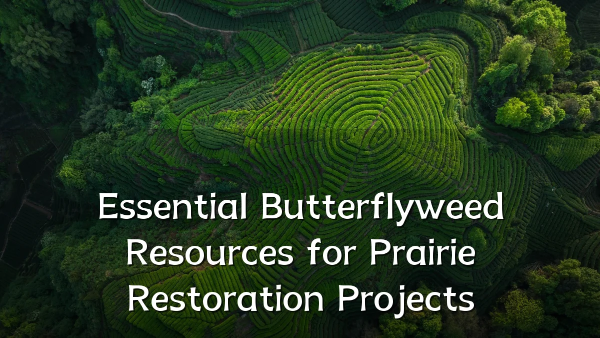 Essential Butterflyweed Resources for Prairie Restoration Projects
