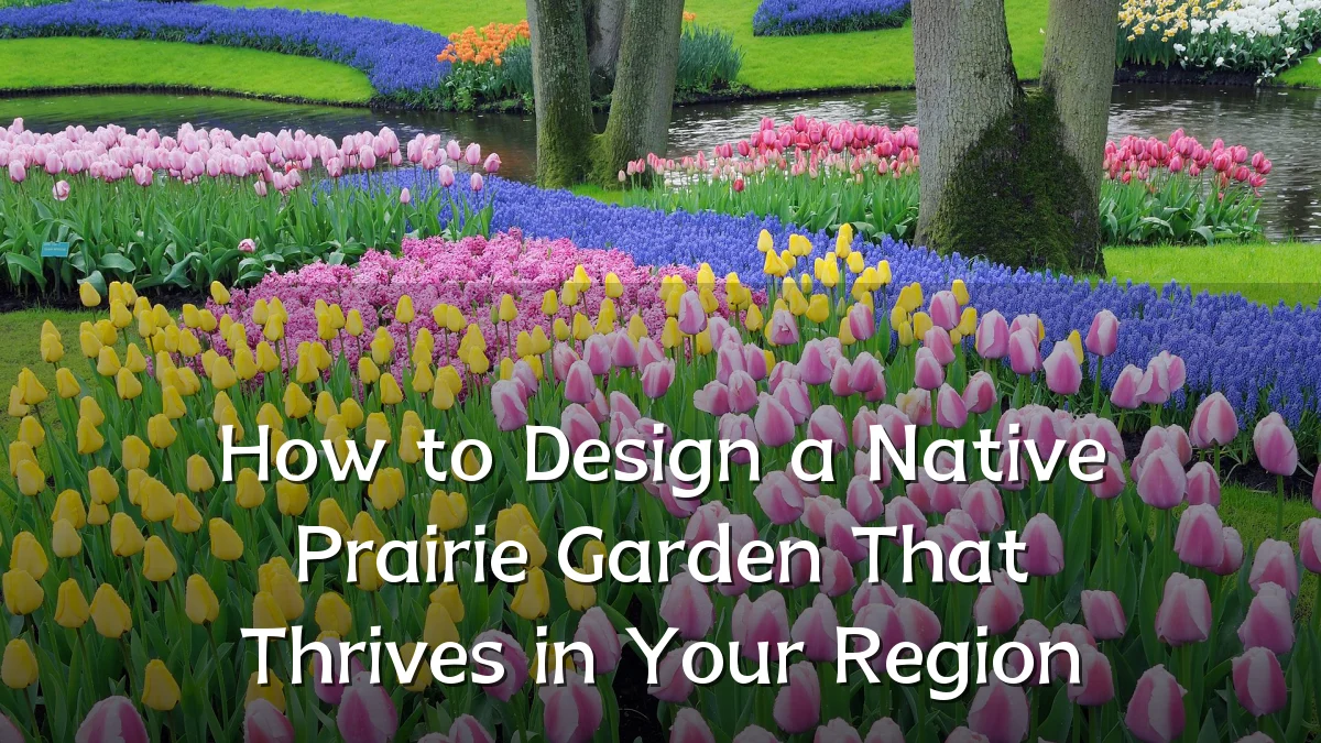 How to Design a Native Prairie Garden That Thrives in Your Region