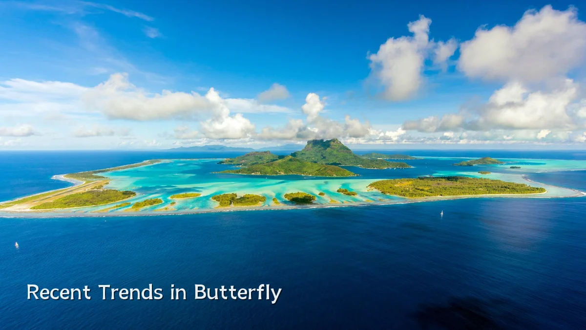 Recent Trends in Butterfly