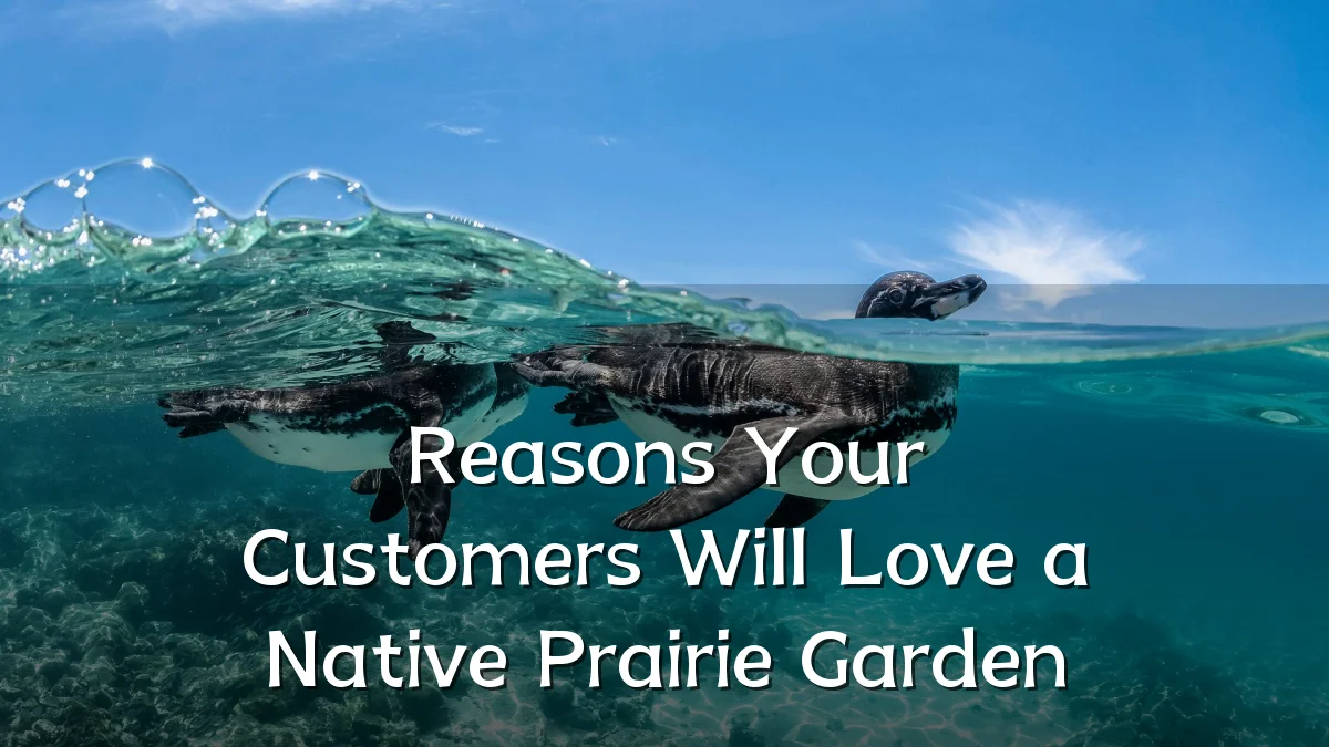 Reasons Your Customers Will Love a Native Prairie Garden