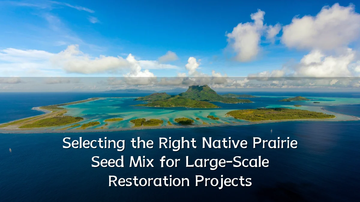 Selecting the Right Native Prairie Seed Mix for Large-Scale Restoration Projects