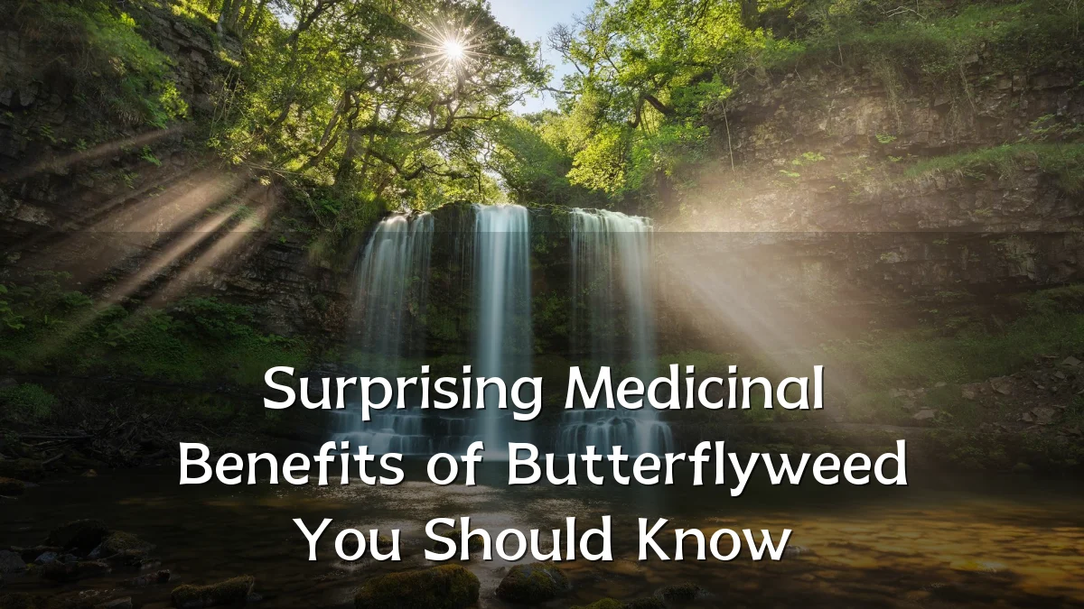Surprising Medicinal Benefits of Butterflyweed You Should Know