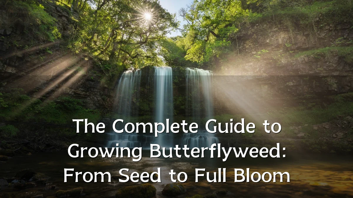 The Complete Guide to Growing Butterflyweed: From Seed to Full Bloom