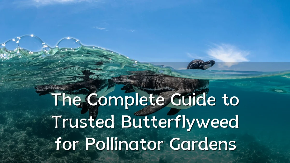 The Complete Guide to Trusted Butterflyweed for Pollinator Gardens