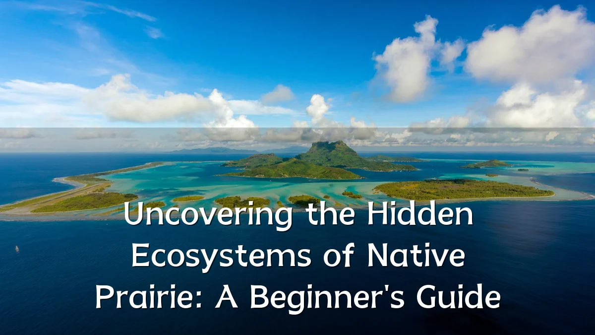 Uncovering the Hidden Ecosystems of Native Prairie: A Beginner's Guide