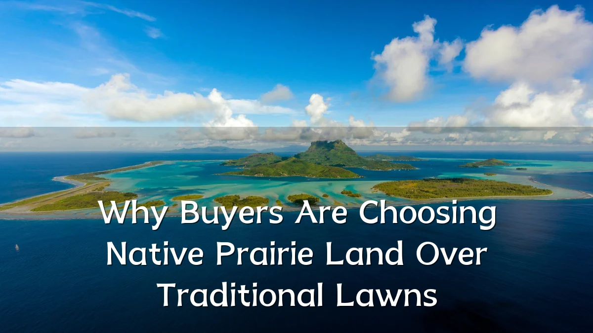 Why Buyers Are Choosing Native Prairie Land Over Traditional Lawns