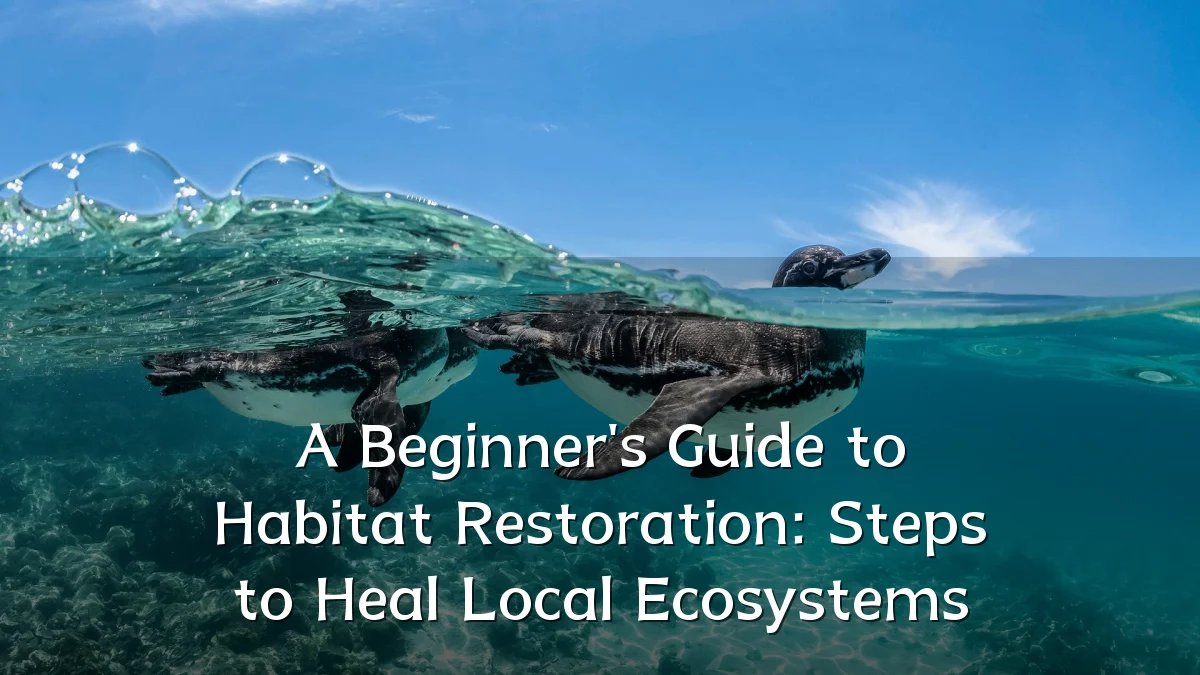A Beginner's Guide to Habitat Restoration: Steps to Heal Local Ecosystems