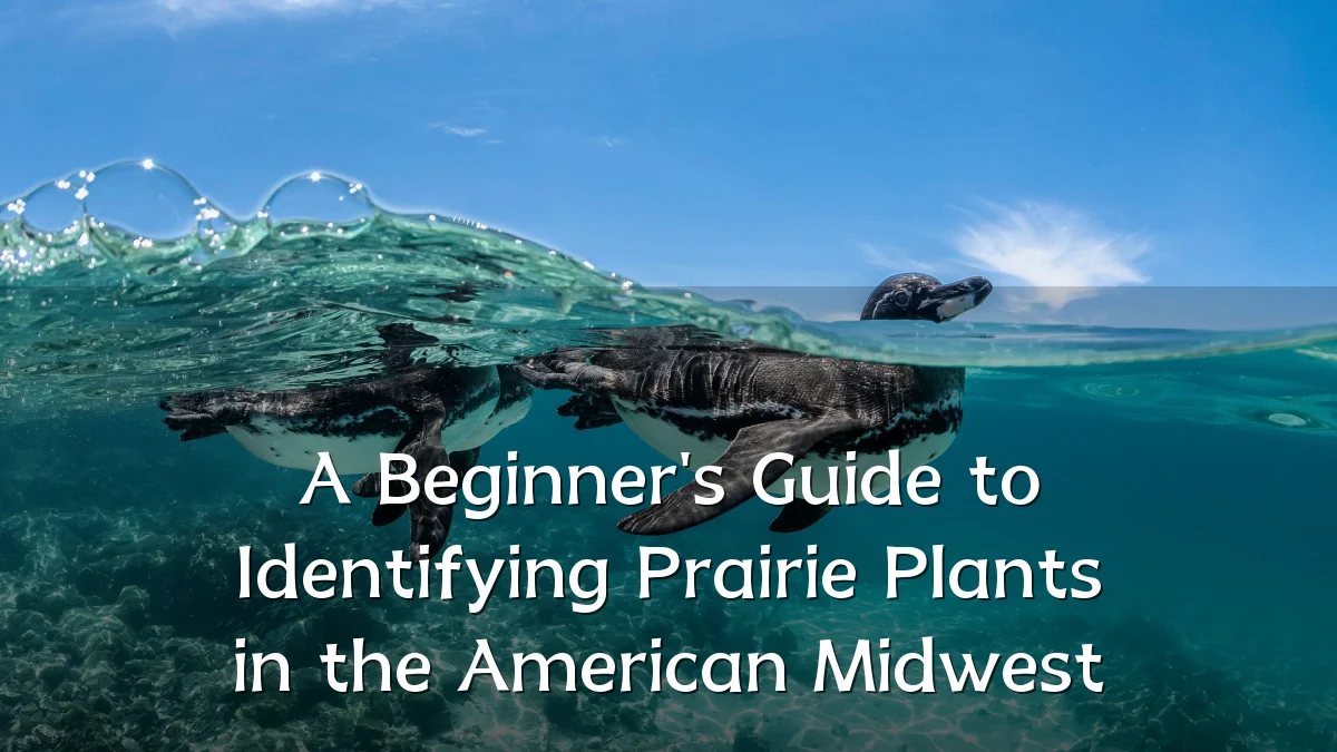 A Beginner's Guide to Identifying Prairie Plants in the American Midwest