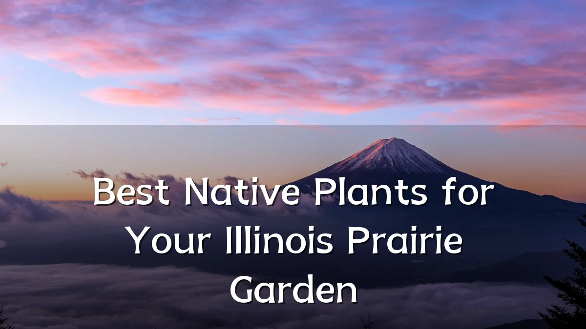 Best Native Plants for Your Illinois Prairie Garden