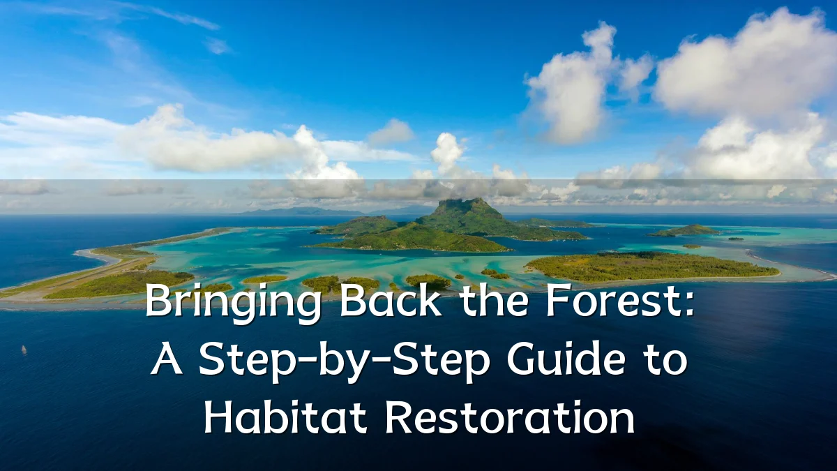 Bringing Back the Forest: A Step-by-Step Guide to Habitat Restoration