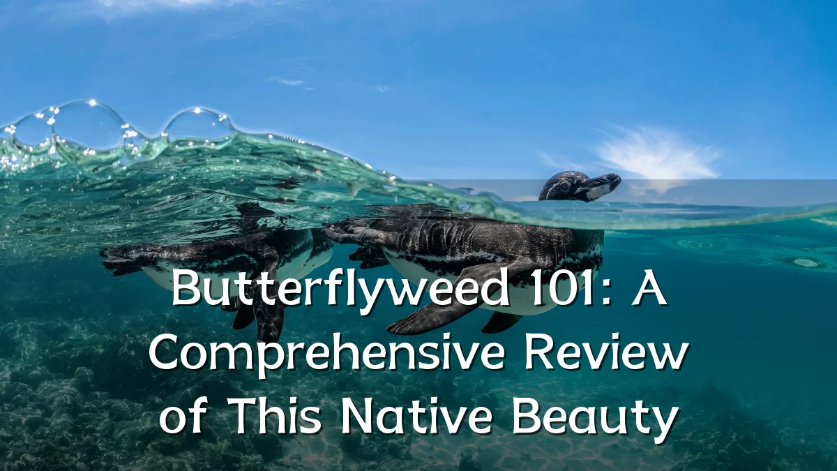 Butterflyweed 101: A Comprehensive Review of This Native Beauty