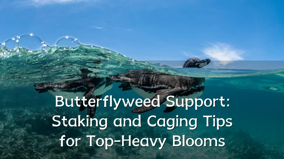Butterflyweed Support: Staking and Caging Tips for Top-Heavy Blooms