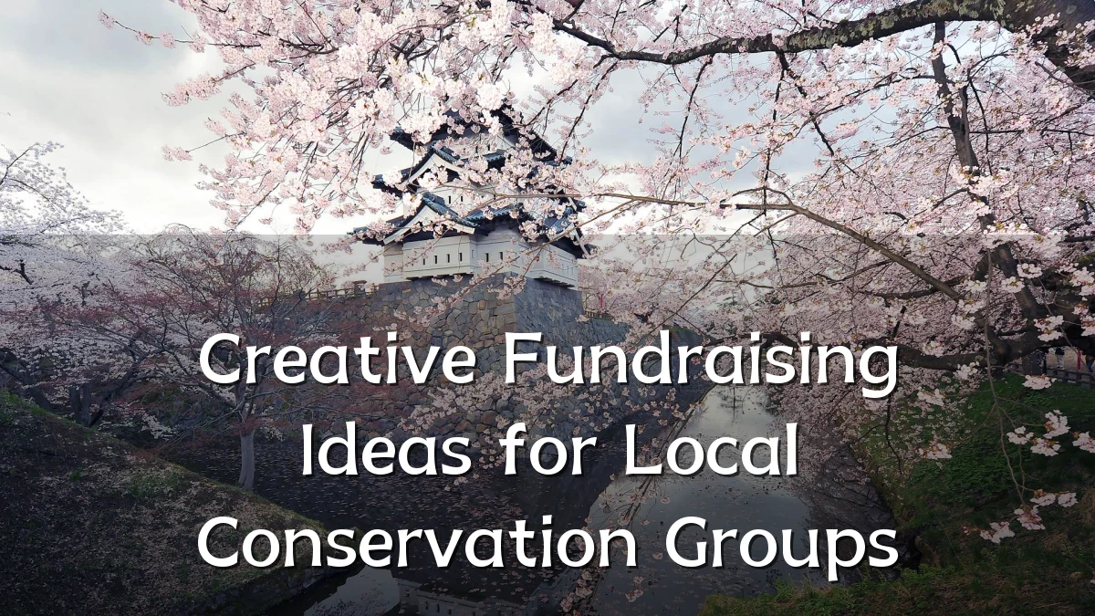 Creative Fundraising Ideas for Local Conservation Groups