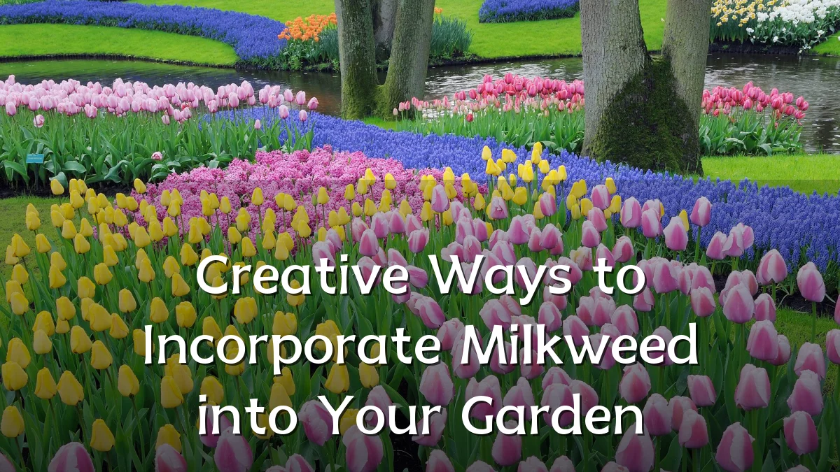 Creative Ways to Incorporate Milkweed into Your Garden