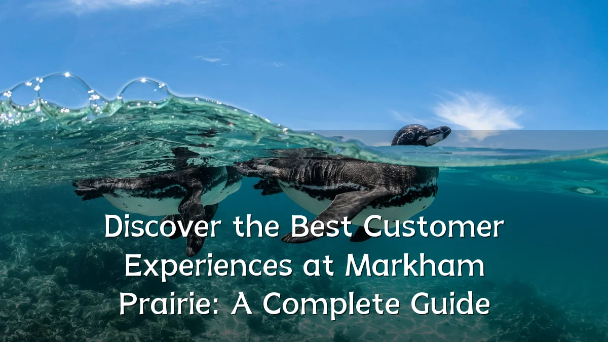 Discover the Best Customer Experiences at Markham Prairie: A Complete Guide