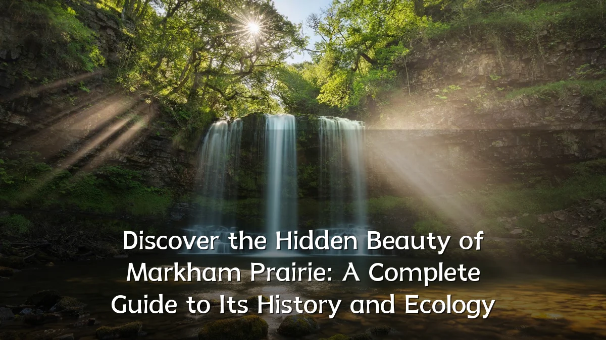 Discover the Hidden Beauty of Markham Prairie: A Complete Guide to Its History and Ecology