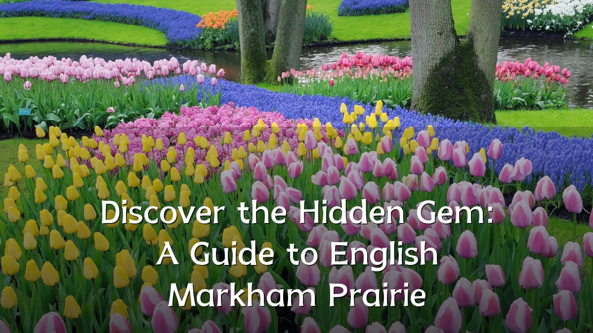 Discover the Hidden Gem: A Guide to English Markham Prairie