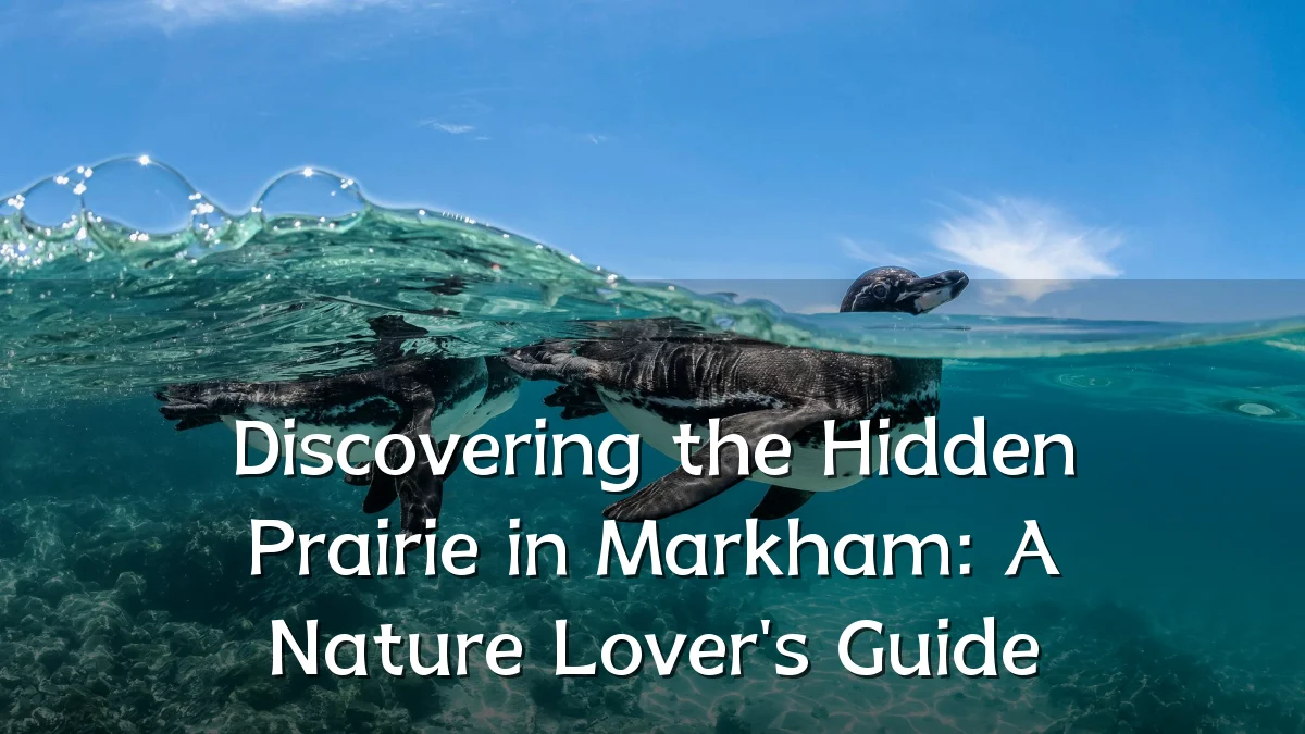 Discovering the Hidden Prairie in Markham: A Nature Lover's Guide