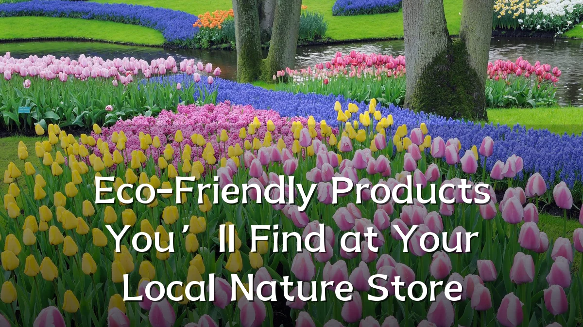 Eco-Friendly Products You’ll Find at Your Local Nature Store