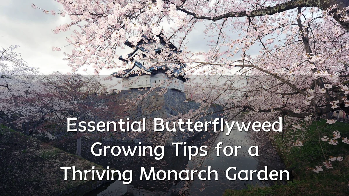 Essential Butterflyweed Growing Tips for a Thriving Monarch Garden