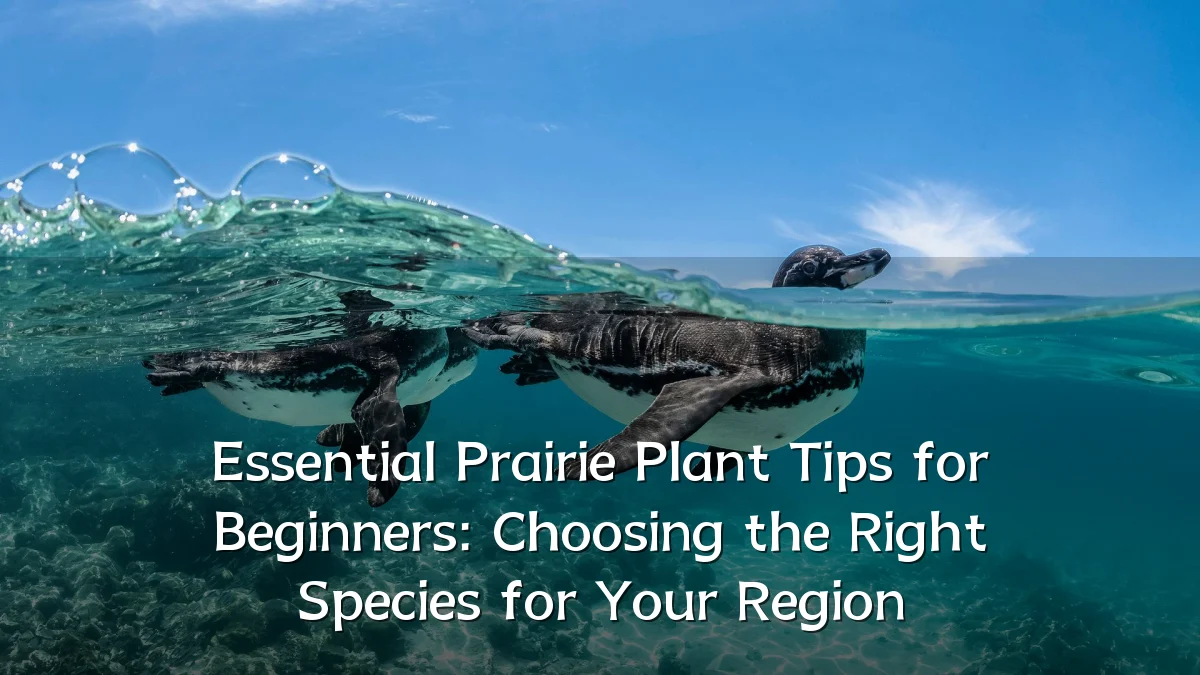 Essential Prairie Plant Tips for Beginners: Choosing the Right Species for Your Region