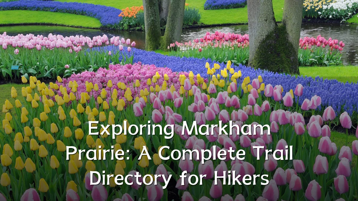 Exploring Markham Prairie: A Complete Trail Directory for Hikers