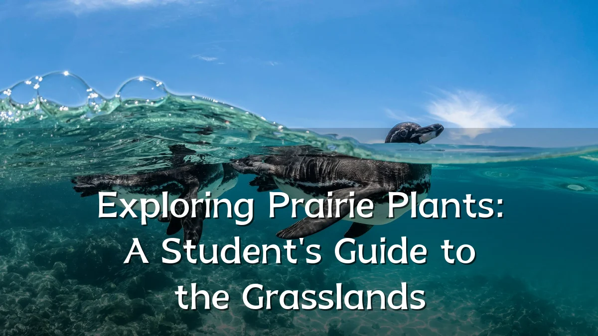 Exploring Prairie Plants: A Student's Guide to the Grasslands