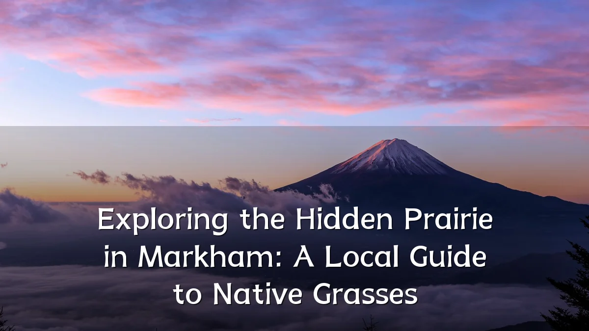 Exploring the Hidden Prairie in Markham: A Local Guide to Native Grasses