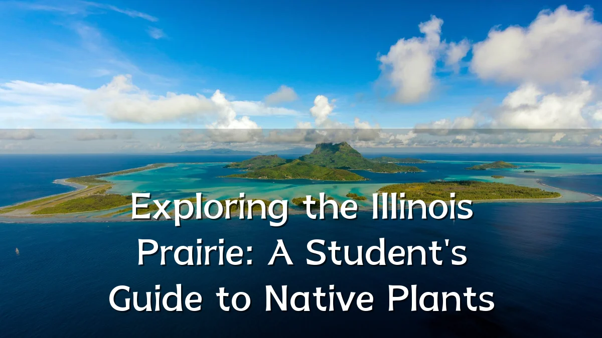 Exploring the Illinois Prairie: A Student's Guide to Native Plants