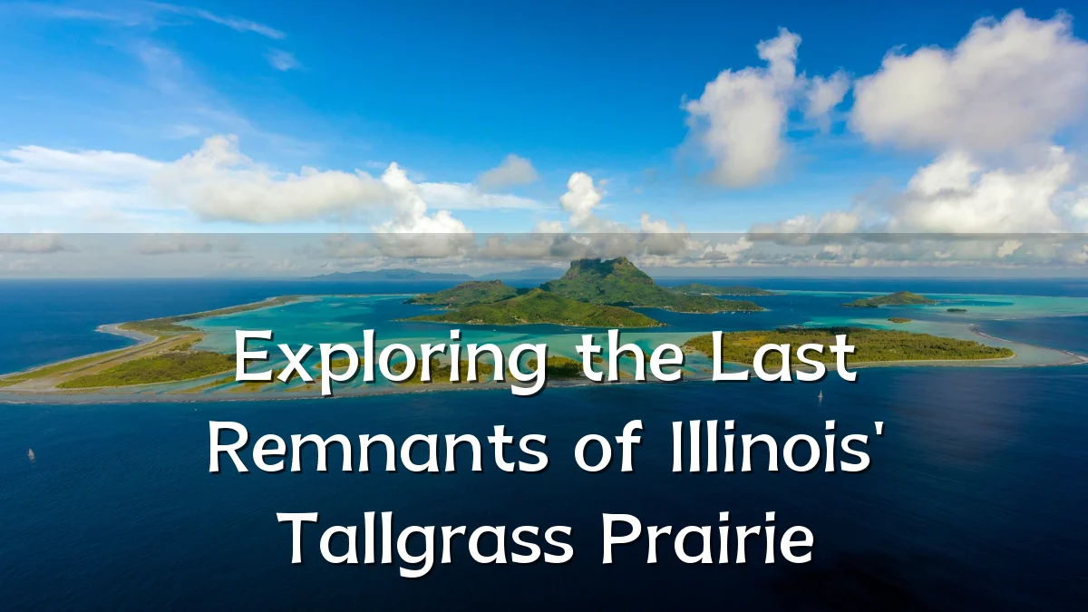 Exploring the Last Remnants of Illinois' Tallgrass Prairie