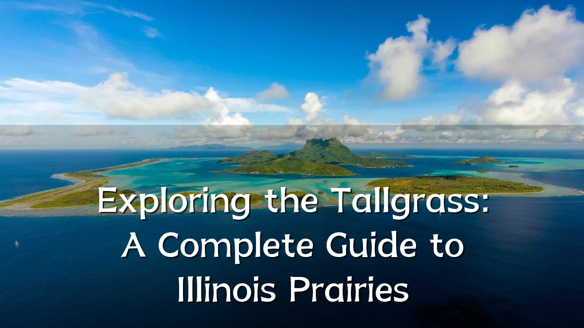 Exploring the Tallgrass: A Complete Guide to Illinois Prairies