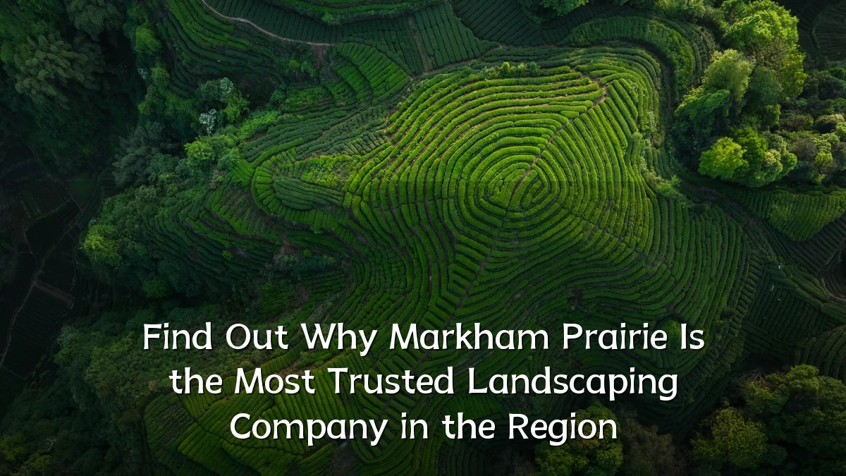 Find Out Why Markham Prairie Is the Most Trusted Landscaping Company in the Region