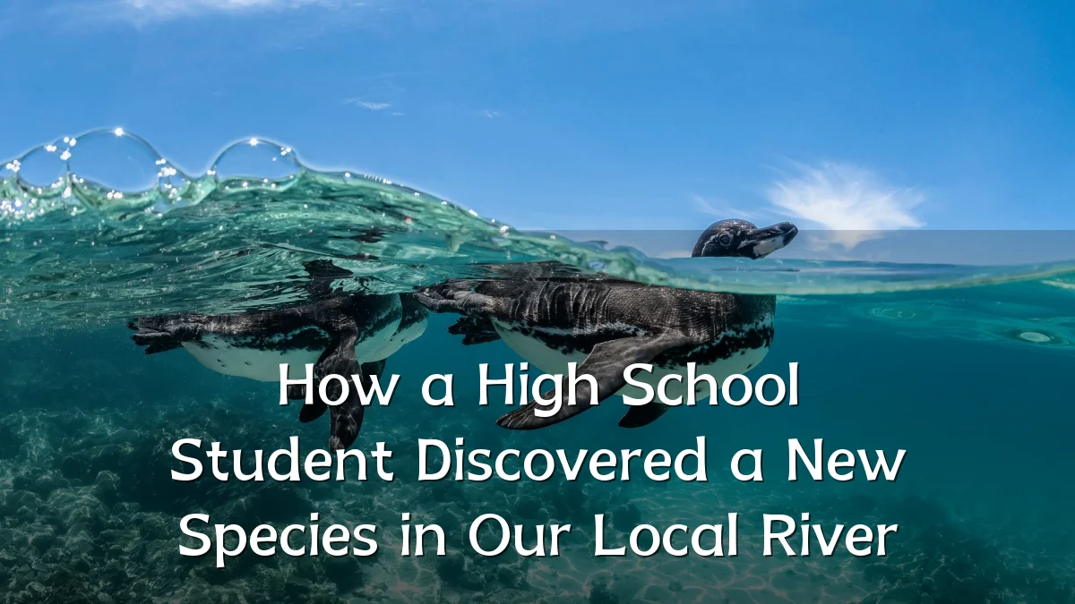 How a High School Student Discovered a New Species in Our Local River