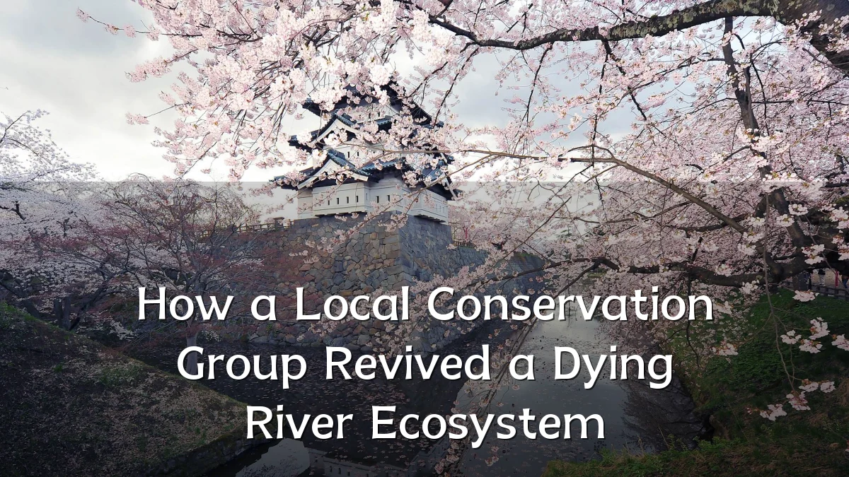 How a Local Conservation Group Revived a Dying River Ecosystem