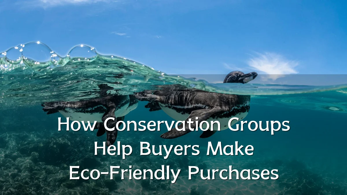 How Conservation Groups Help Buyers Make Eco-Friendly Purchases