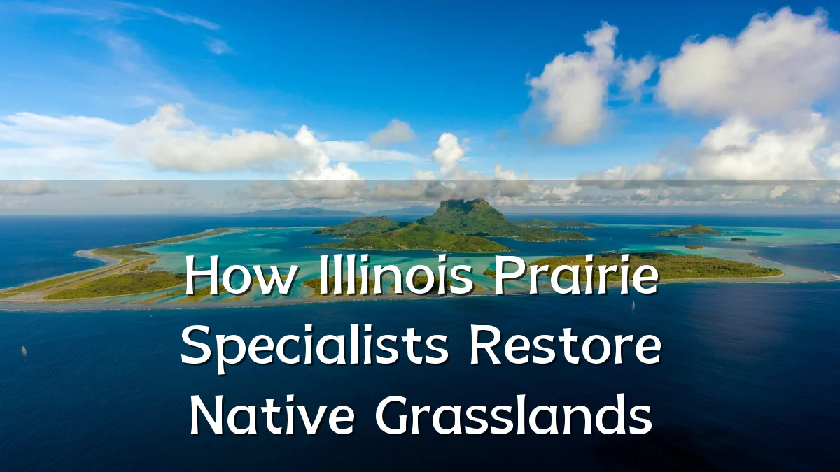 How Illinois Prairie Specialists Restore Native Grasslands