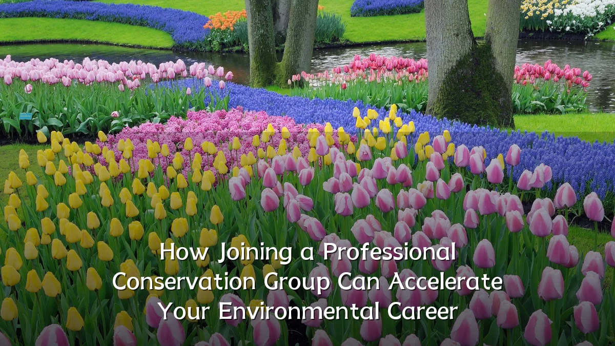 How Joining a Professional Conservation Group Can Accelerate Your Environmental Career