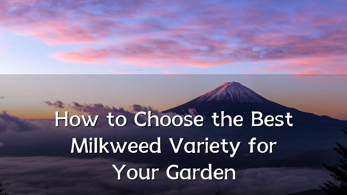 How to Choose the Best Milkweed Variety for Your Garden