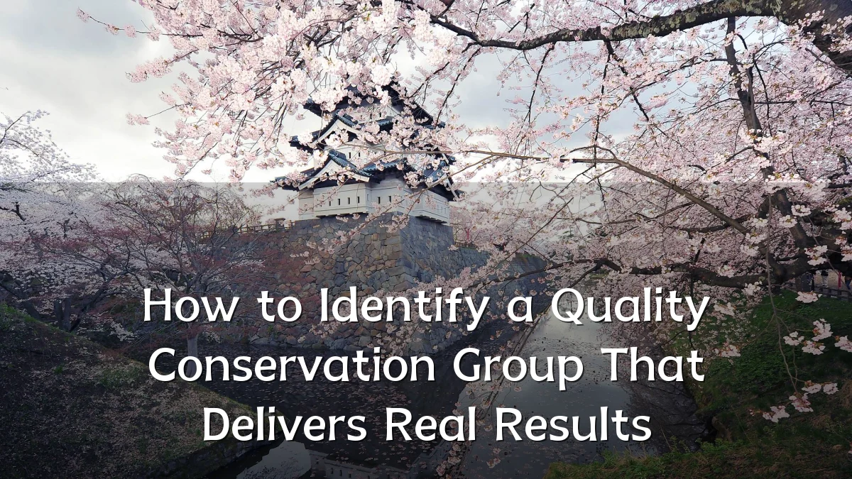 How to Identify a Quality Conservation Group That Delivers Real Results