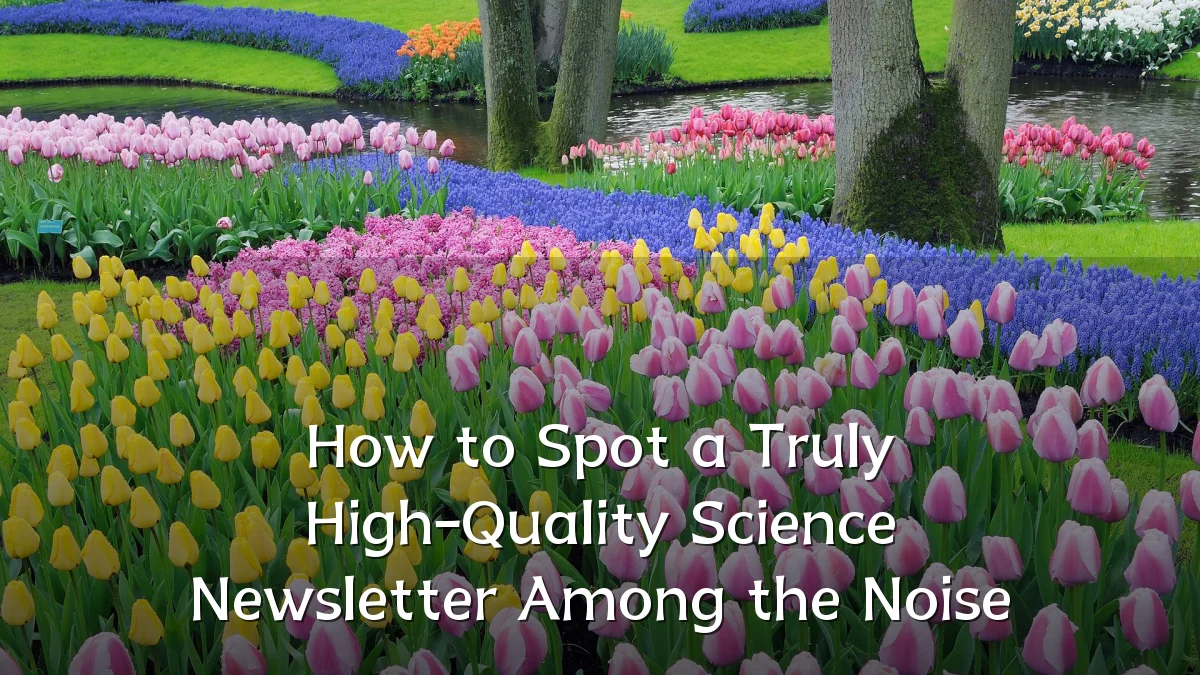 How to Spot a Truly High-Quality Science Newsletter Among the Noise