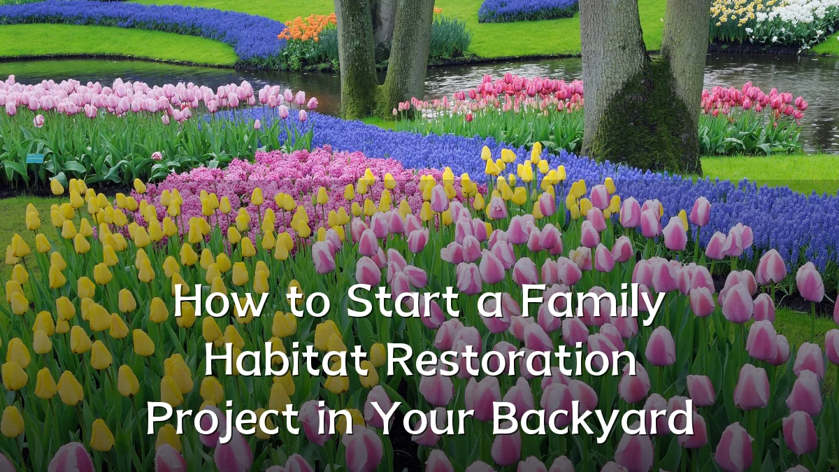 How to Start a Family Habitat Restoration Project in Your Backyard