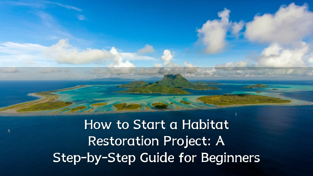 How to Start a Habitat Restoration Project: A Step-by-Step Guide for Beginners