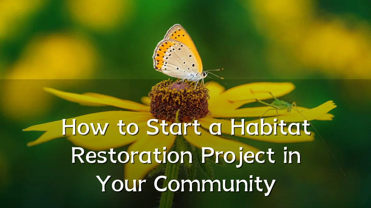 How to Start a Habitat Restoration Project in Your Community