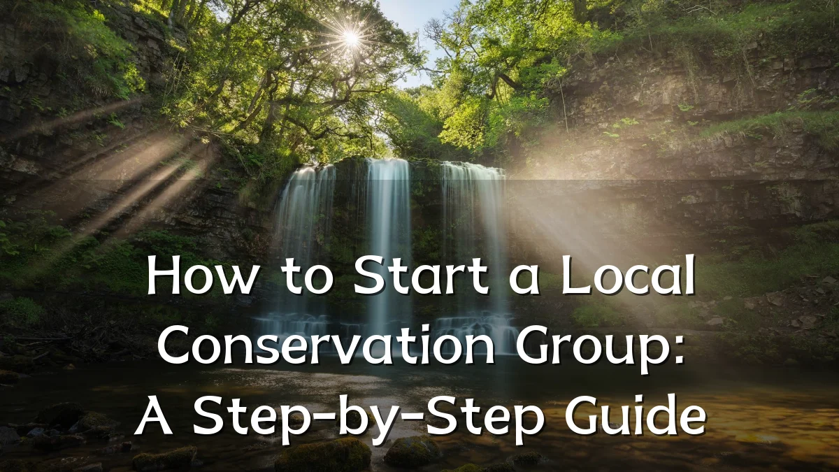 How to Start a Local Conservation Group: A Step-by-Step Guide